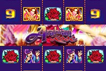 Arabian Rose