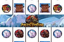 Arctic Fortune