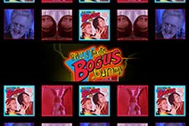 Bill and Ted's Bogus Journey