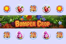 Bumper Crop