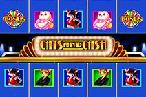 Cats and Cash