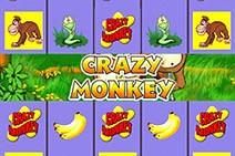 Crazy Monkey
