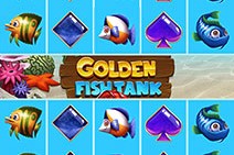 Golden Fish Tank