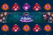 Magic Mushrooms